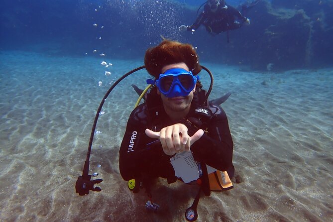 Discover beginner diving in Tenerife - Medical Form Rules You Can’t Skip