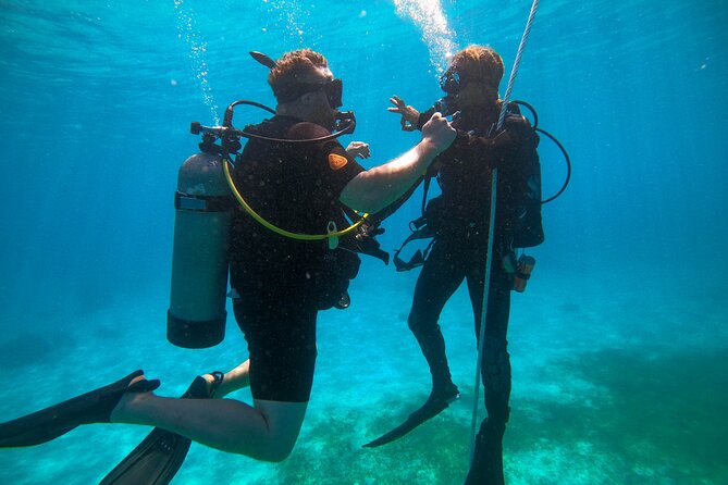 Discover Culebra: 2-Tank Scuba Diving - Where you go: near Puerto del Rey Marina