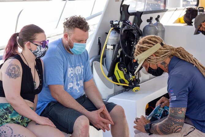 Discover Culebra: 2-Tank Scuba Diving - What you’ll see: turtles and close-up marine life