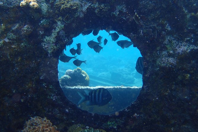 Discover Diving in Curacao - First-Time Scuba Lessons in Curacao’s Calm Routine