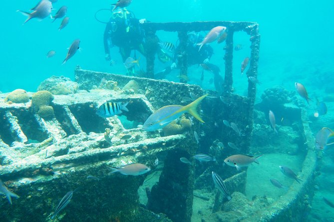 Discover Diving in Curacao - The 4-Hour Flow: Theory, Confined Water Practice, Then the 12m/40ft Session