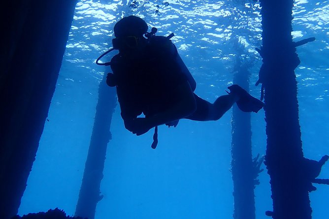 Discover Diving in Curacao - Photos After Your Session: Proof You Were There