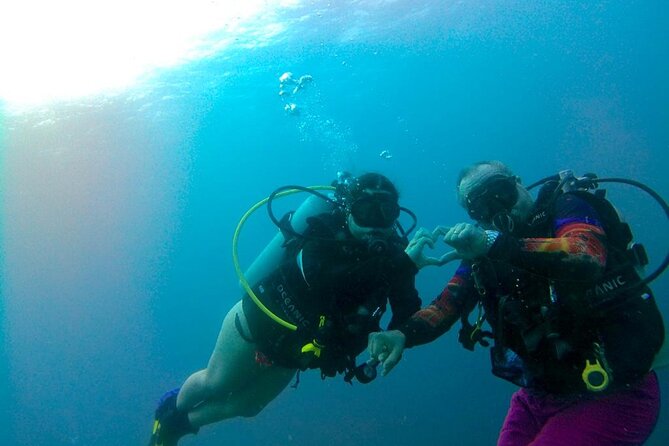 Discover Diving in Curaçao with Transportation Included - What This Experience Really Is (And Why It Works)