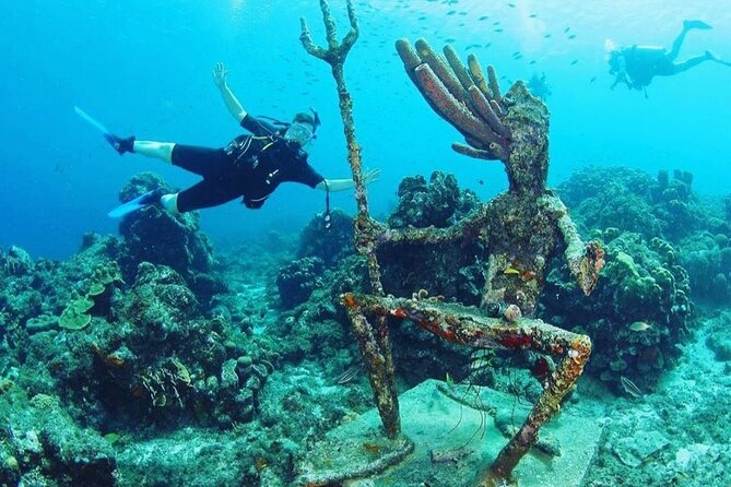 Discover Diving in Curaçao with Transportation Included - What You’ll See Underwater: Fish, Turtles, Reefs, and Shipwrecks