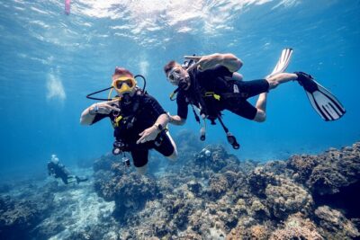 Discover Diving in the Reefs of Cozumel - Getting Ready: Check-In Timing, Language, and What to Bring