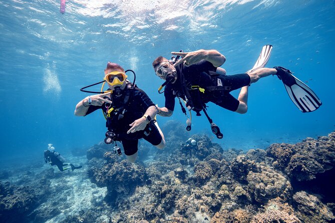 Discover Diving in the Reefs of Cozumel - Getting Ready: Check-In Timing, Language, and What to Bring