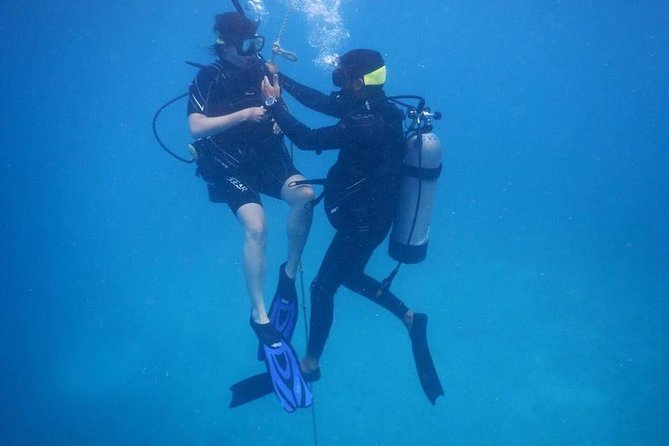Discover Fajardo: 2-Tank Scuba Diving - Getting Oriented at Fajardo’s Marina: Gear Fit and Safety Vibes