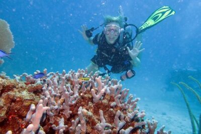 Discover Fajardo: 2-Tank Scuba Diving - The PADI Skills Lesson: What You Learn Before Going Under