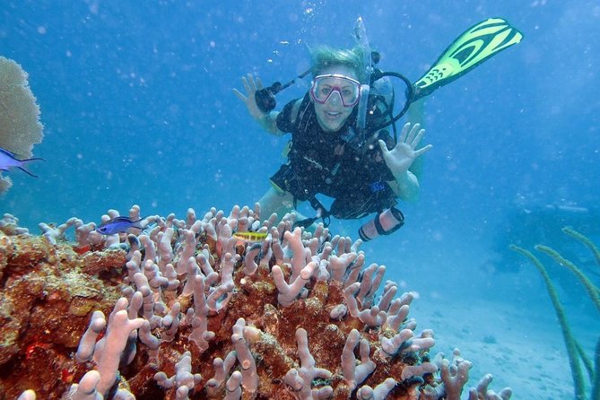 Discover Fajardo: 2-Tank Scuba Diving - The PADI Skills Lesson: What You Learn Before Going Under