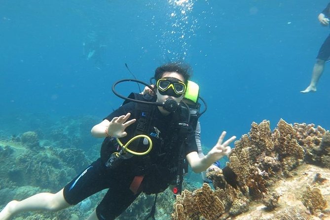 Discover Nha Trang Bay with Scuba Diving Tour - Key highlights worth your attention