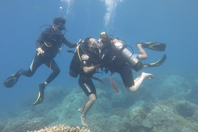 Discover Nha Trang Bay with Scuba Diving Tour - The morning schedule: pickup, boat transfer, and the reef briefing