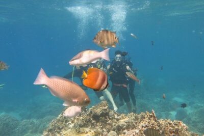Discover Nha Trang Bay with Scuba Diving Tour - Your first underwater session at 9:00: coral variety, beginner help, and photo time