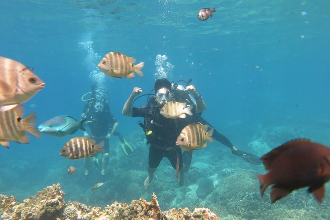 Discover Nha Trang Bay with Scuba Diving Tour - Comfort, safety, and water-conditions reality checks