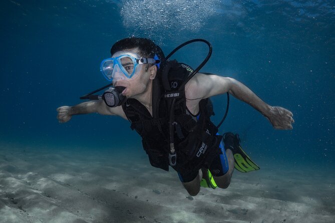 Discover PADI Diving in Barcelona - Quick Hits Before You Go