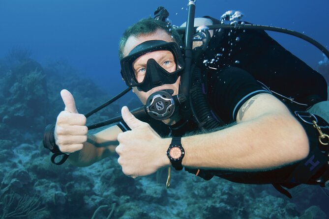 Discover PADI Diving in Barcelona - Where You’ll Go In: A Protected Area Off the Beach