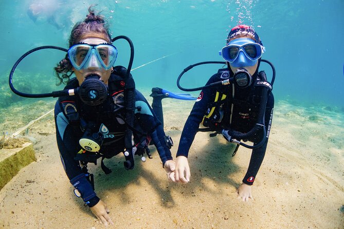 Discover PADI Diving in Barcelona - What You’ll See Underwater: Fish, Wildlife, and Visibility Reality