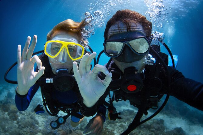 Discover PADI Diving in Barcelona - The 2-Hour Plan: Theory First, Then Your Time Underwater