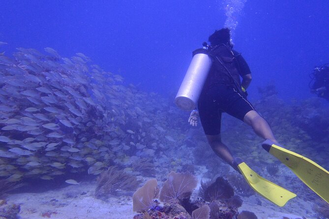 Discover Scuba - A First-Timer-Friendly Scuba Session in Puerto Morelos