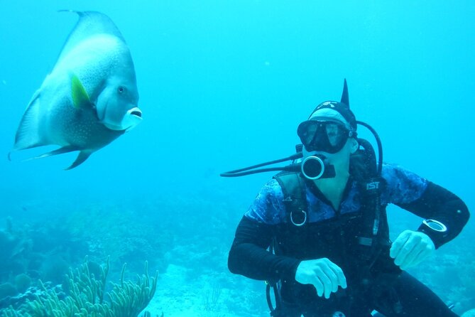 Discover Scuba - The 9:00am Start: How the Morning Flows