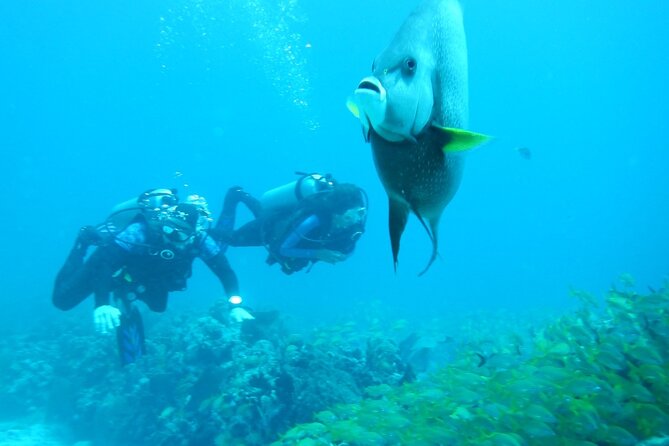 Discover Scuba - Stop 1 at the National Reef Park of Puerto Morelos: Training Meets Reef Time