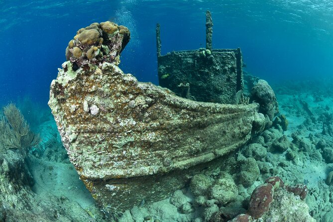 Discover Scuba Dive in Curacao - A 3-hour intro scuba session in Curacao’s Jan Thiel area