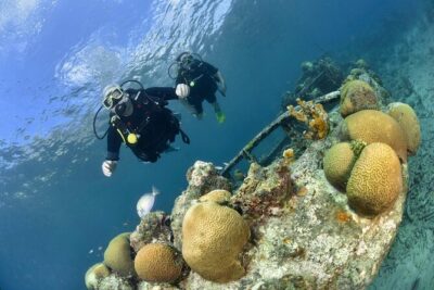 Discover Scuba Dive in Curacao - Private instructor time: what you learn before reef time