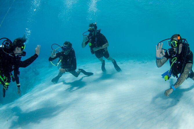 Discover Scuba Dive in Curacao - Avoidable pitfalls: language and expectations