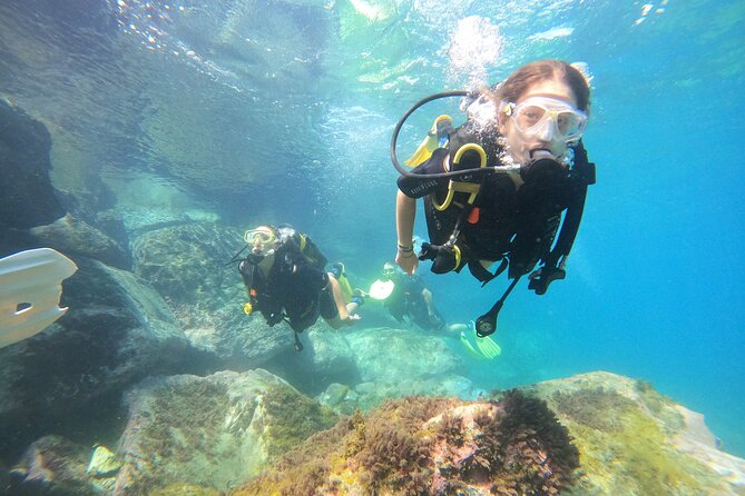 Discover Scuba Dive in Gran Canaria - Gear Included Means Less Stress (and Better Value)