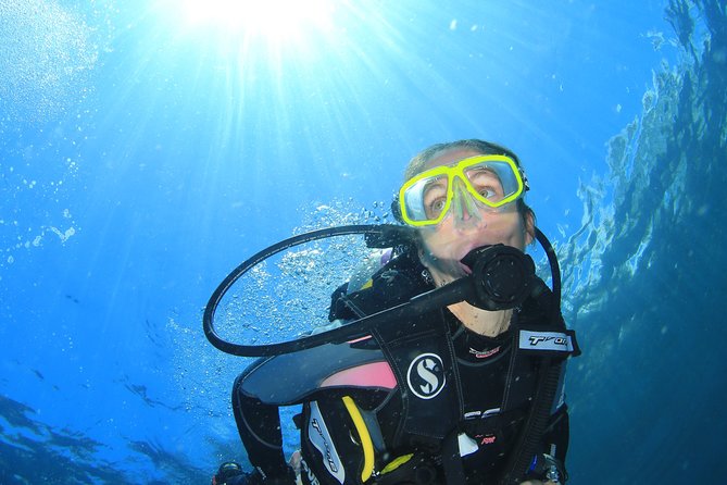 Discover Scuba Diving - Booking this Sharm el Sheikh scuba taster: what you’re really paying for