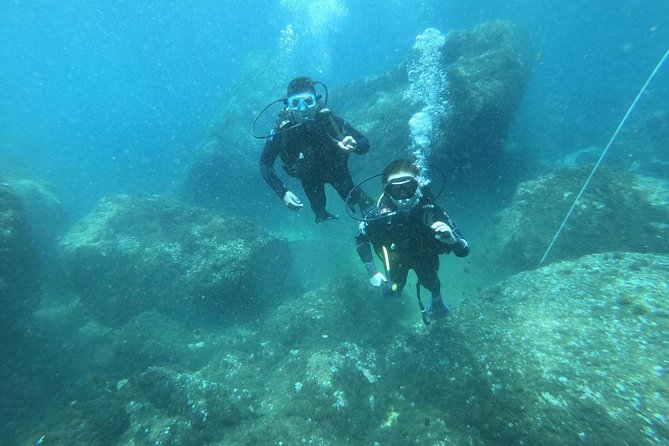 Discover Scuba diving - Who This 3-Hour Course Is Best For
