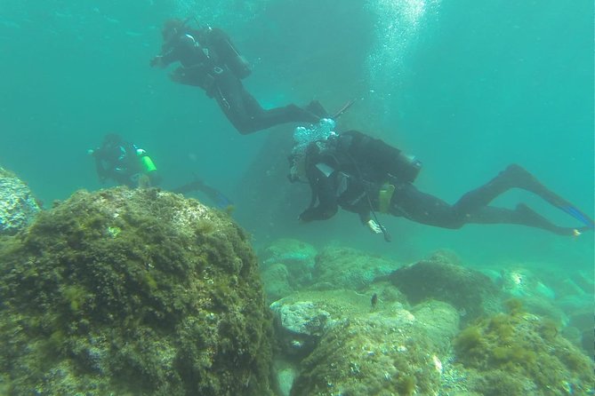 Discover Scuba Diving - Is the $95 price a good deal?