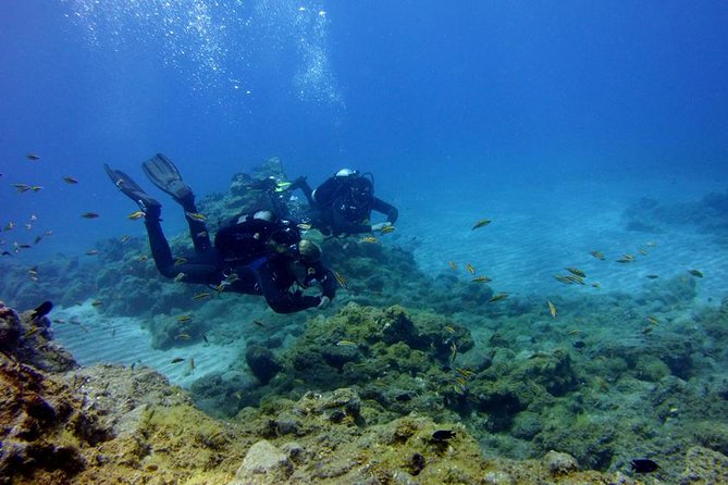 Discover Scuba Diving Adventure in Tenerife - Key things to know before you go