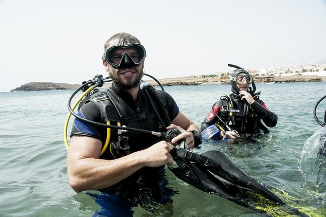 Discover Scuba Diving Adventure in Tenerife - The volcanic reefs of Tenerife: what you’ll see underwater