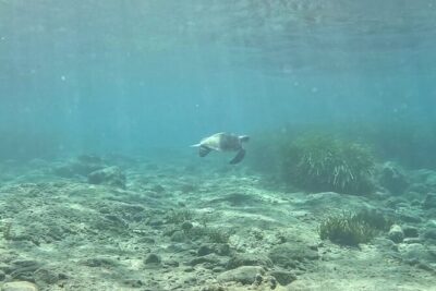 Discover Scuba Diving Amathounta's Ancient Port - How the 90-minute flow keeps first-timers calm