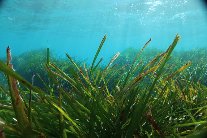Discover Scuba Diving Amathounta's Ancient Port - Who this is best for (and when to skip it)