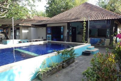 Discover Scuba Diving and dive in Menjangan Island Marine Park 2 dives - Pool Session: Where Confidence Is Built