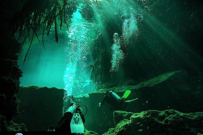 Discover Scuba Diving at Casa Cenote - Where You Meet and How the Morning Flows