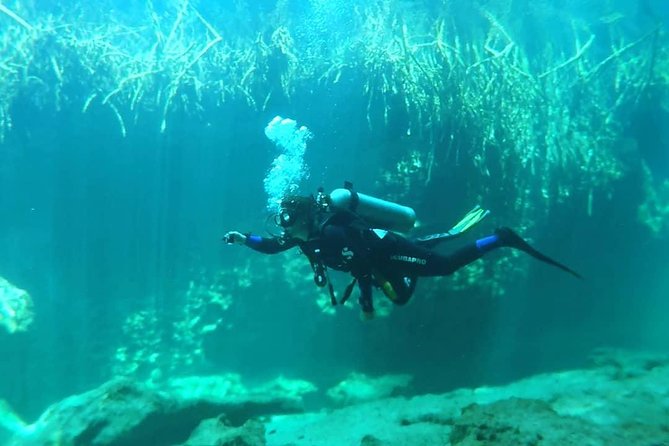 Discover Scuba Diving at Casa Cenote - Who This Tour Fits Best (And Who Should Consider Open Water)