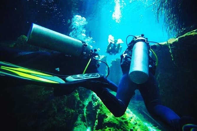 Discover Scuba Diving at Casa Cenote - Price and What $190 Really Buys You in Tulum