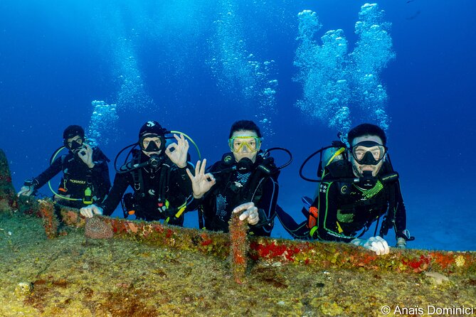 Discover Scuba Diving at Cozumel Marine Park - Getting Ready in Cozumel: What You’re Actually Signing Up For