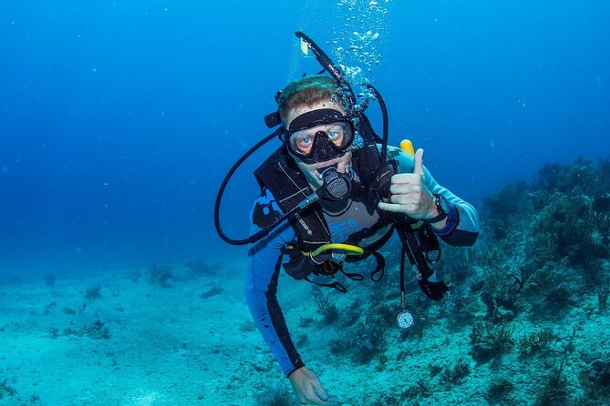 Discover Scuba Diving at Cozumel Marine Park - La Luciana and the Ride Plan: Comfort Between Water Moments