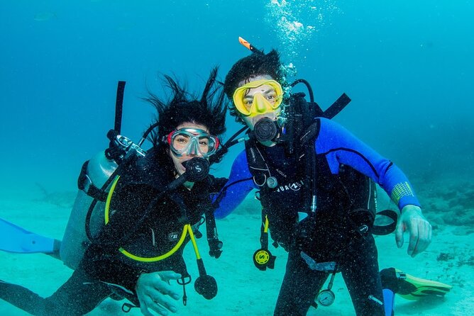 Discover Scuba Diving at Cozumel Marine Park - Safety and Guidance With PADI Instructors (Including Names You Might See)