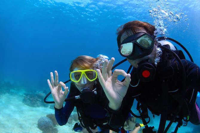 Discover Scuba Diving & Beach Club with Transportation In Riviera Maya - Gear, Bottled Water, and the Costs That Surprise People