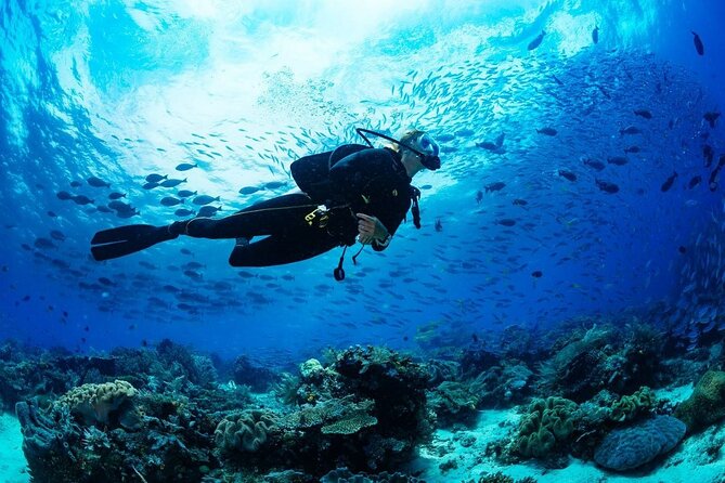 Discover Scuba Diving & Beach Club with Transportation In Riviera Maya - Insurance, Bilingual Guides, and Safety Checks You Should Take Seriously