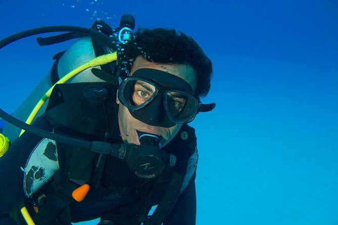 Discover Scuba Diving & Beach Club with Transportation In Riviera Maya - Is It Worth $150? A Value Check with Real-World Costs