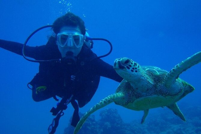 Discover Scuba Diving & Beach Club with Transportation In Riviera Maya - Who This Tour Fits Best (and Who Should Skip It)