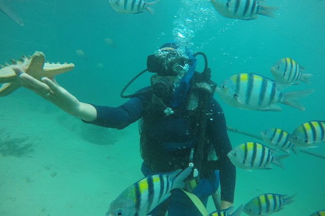 Discover Scuba Diving ( beginners) Combined With Jet Ski - Tanjung Benoa Water Sports: where the day gets practical