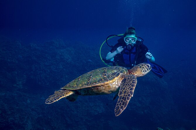 Discover Scuba Diving Class from Lahaina - Key Things To Know Before You Go