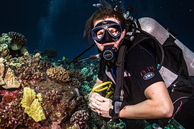 Discover Scuba Diving Class from Lahaina - Meeting in Lahaina and Getting Fitted for the Real Thing