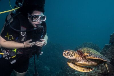 Discover Scuba Diving Class from Lahaina - Small Group Coaching: What You Gain From Max-4